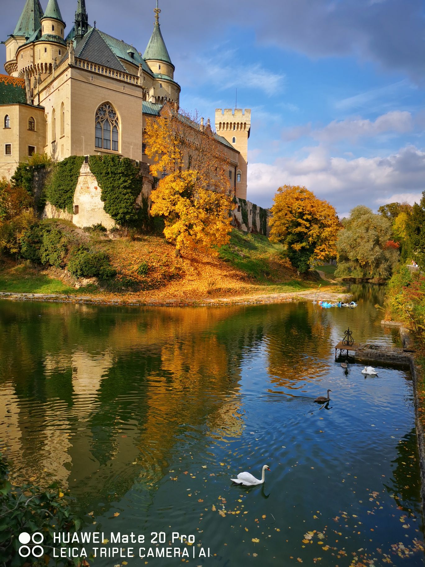 #城堡王国的秋天童话#         走近斯洛伐克中部小城博伊尼采，迷上了这里醉人的秋天: 一地的