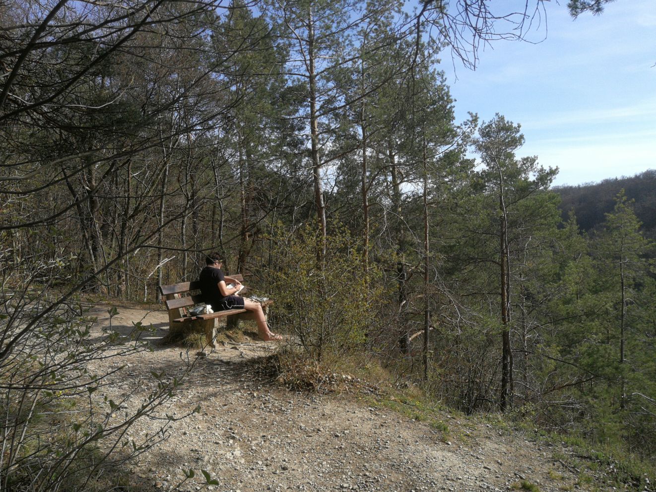 昨天去散步，在山林深处，看到了一位坐在椅子上默默读书的德国小伙子！这样的时代，又是在疫情下，能这样专
