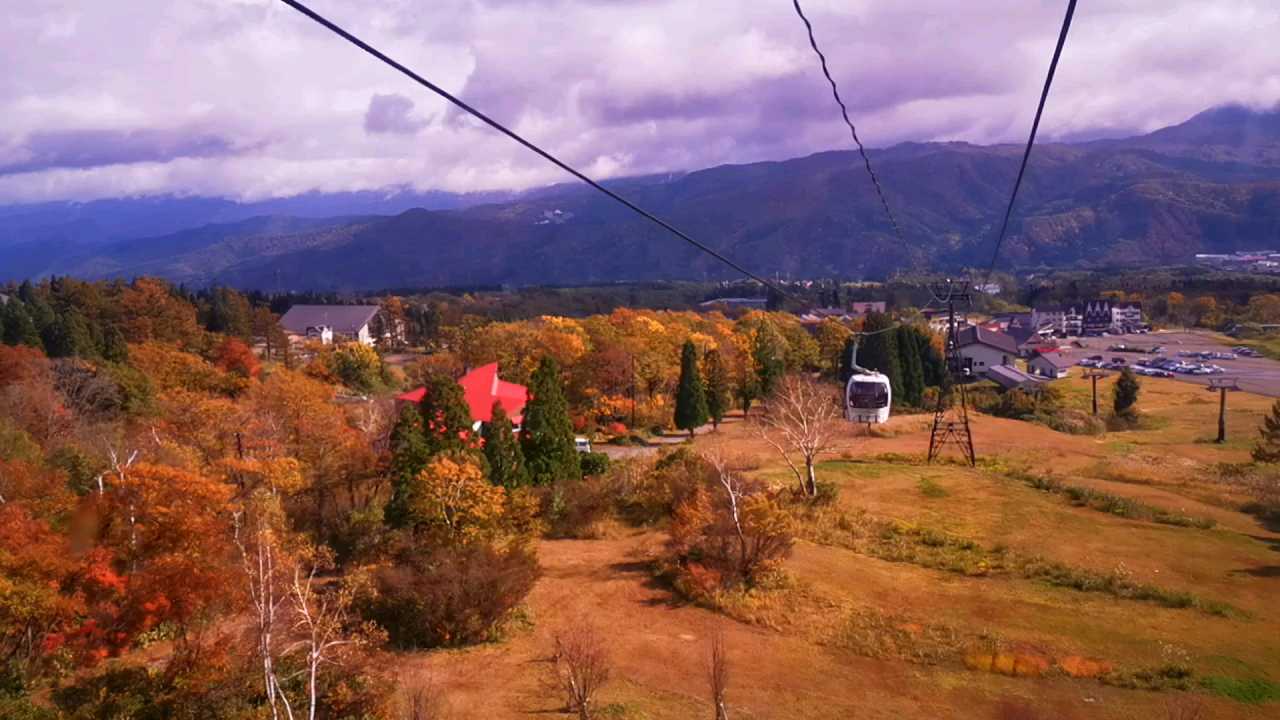 11月初，在  新潟县·日本  ，乘 “  妙高高原缆车  ” 下山 ！赏，妙高高原，深秋，最美，枫