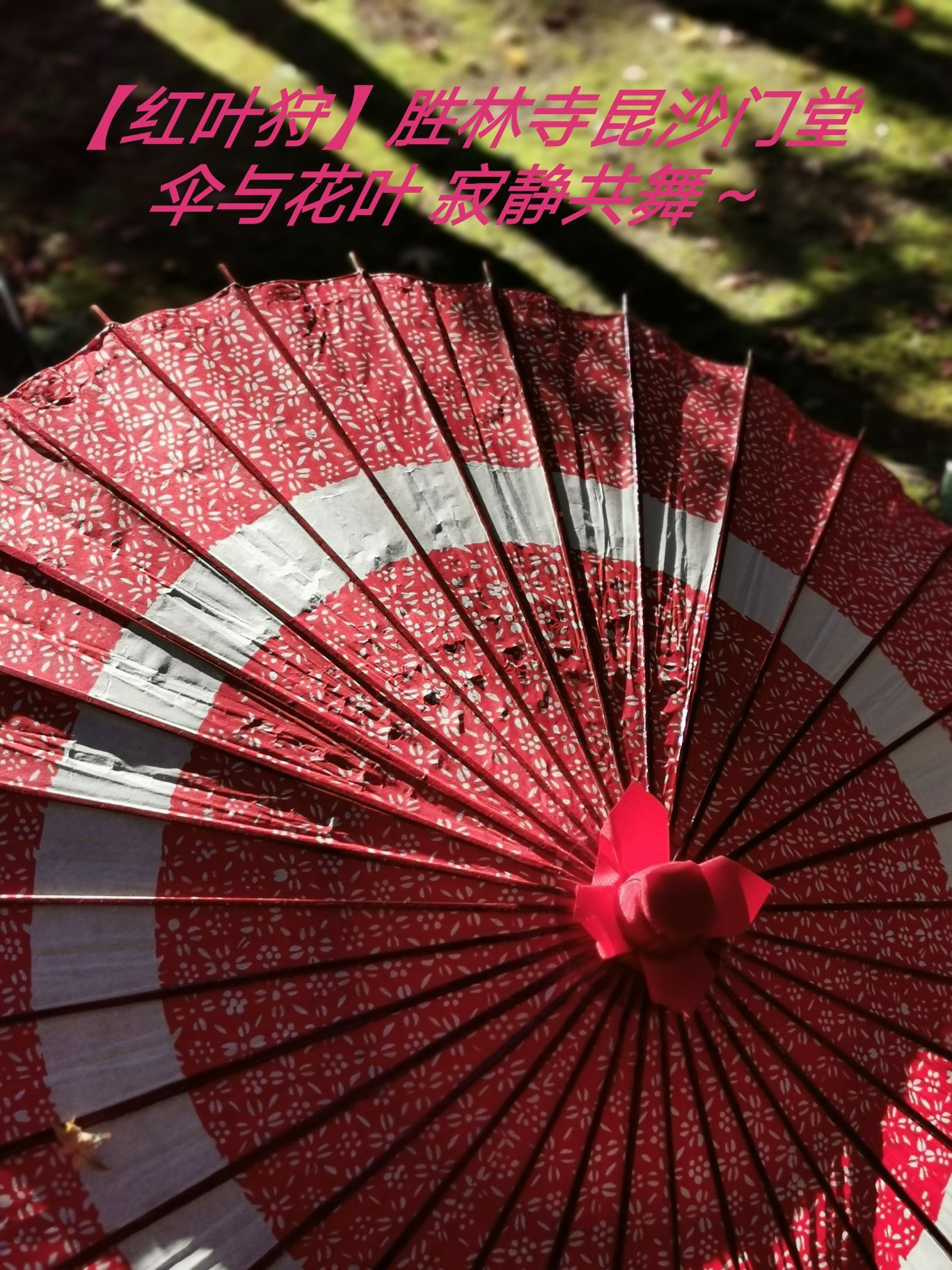 【秋色斑斓】红叶狩之9：胜林寺蓖沙门天，伞与花叶寂静共舞～