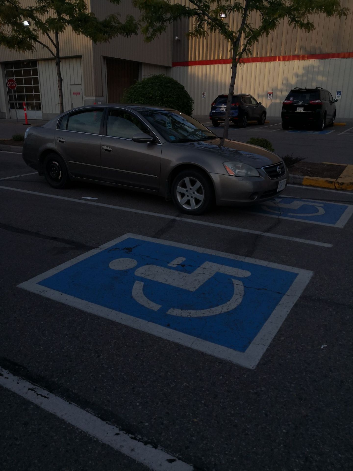 洛基拿Costa超市门口，永远有为残疾人和老人留得车位。