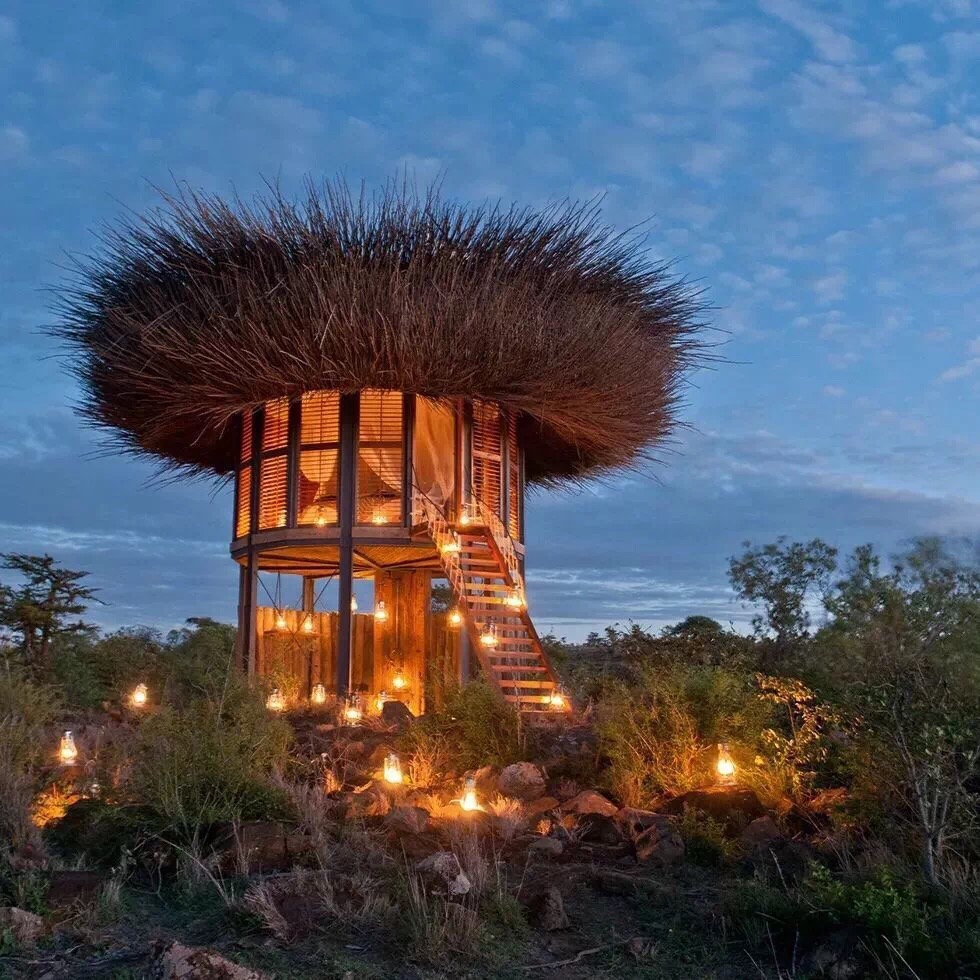 #非洲野奢酒店#  The Nay Palad Bird Nest  这个鸟巢大概是全世界最小的奢华