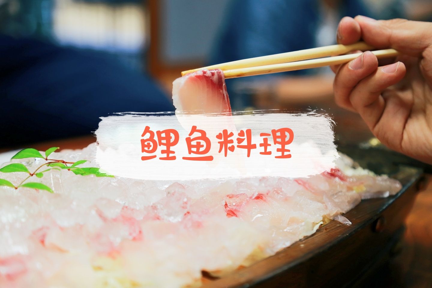 日本小城特色美食，超大份的鲤鱼料理🐟  我好像还没吃过鲤鱼，去日本的时候朋友说鲤鱼料理感觉挺新鲜的。