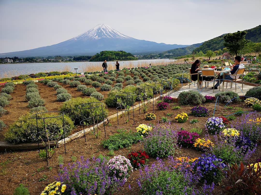 到这里来欣赏 富士山 的美景准没错—— 河口湖 自然生活馆  这里是眺望富士山、河口湖的最佳地点，听