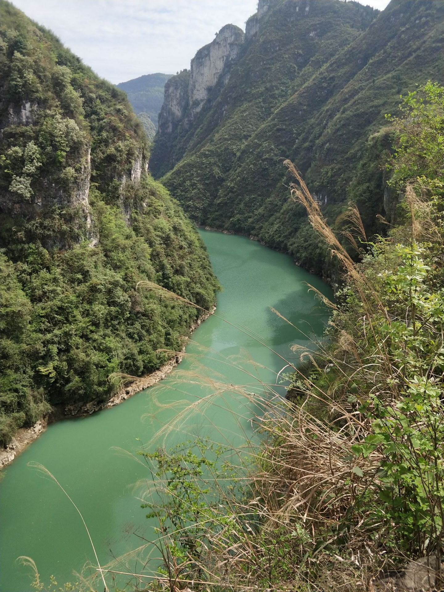 龙鳌河