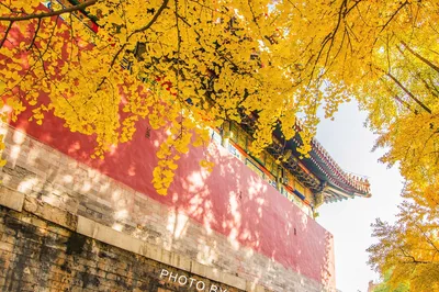 御花园