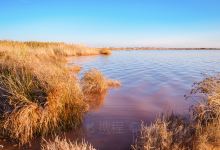 Laguna Salada de Torrevieja景点图片