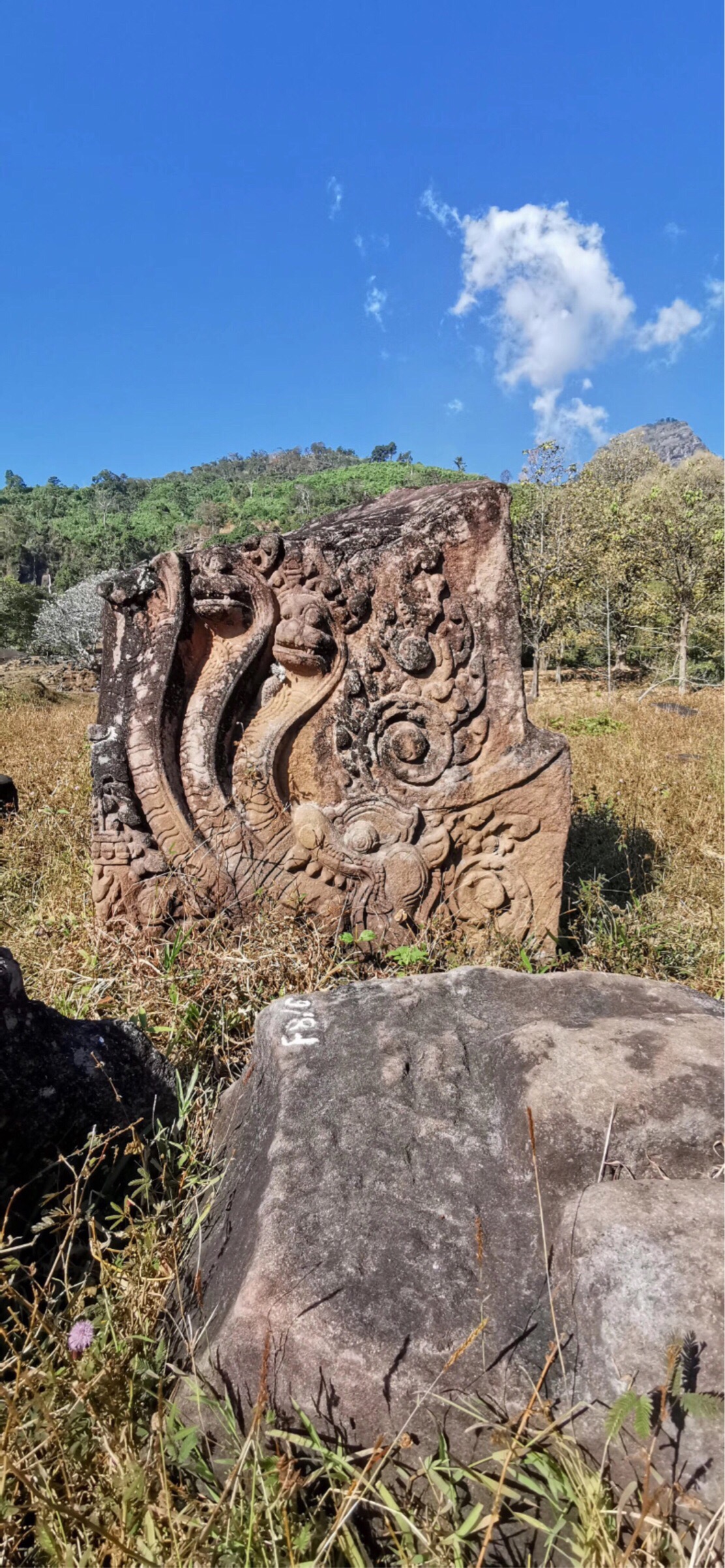 瓦普寺遗址。