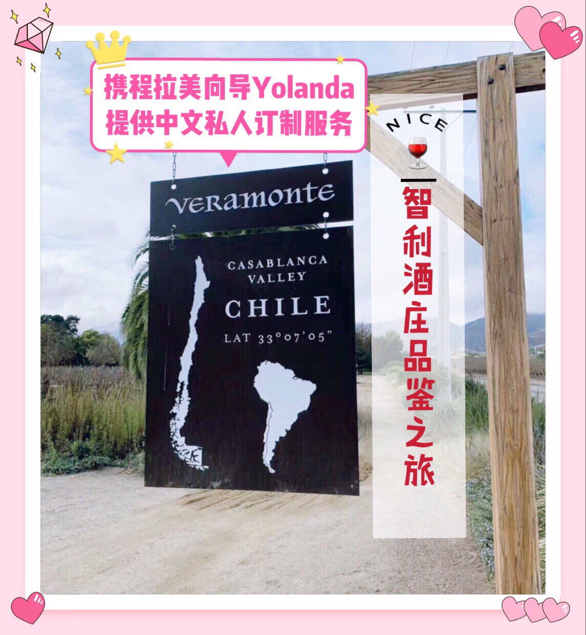带游客参观智利Veramonte酒庄品鉴🍷 翠岭的卡萨布兰卡山谷区距离首都约66公里，是种植长相思和