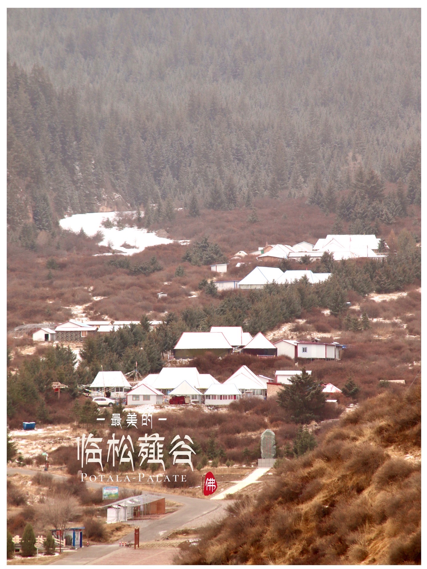 来张掖旅游的必打卡之地：祁连山。