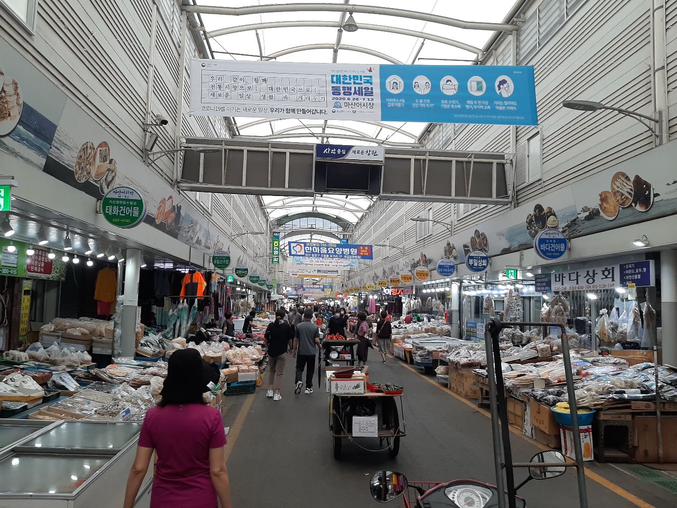 哈喽~我在韩国中部海边小城市---昌原市(창원시)~这里有很大的鱼市场叫马上鱼市场(마산어시장)可以