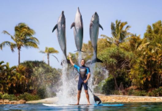 华纳兄弟电影世界景点图片