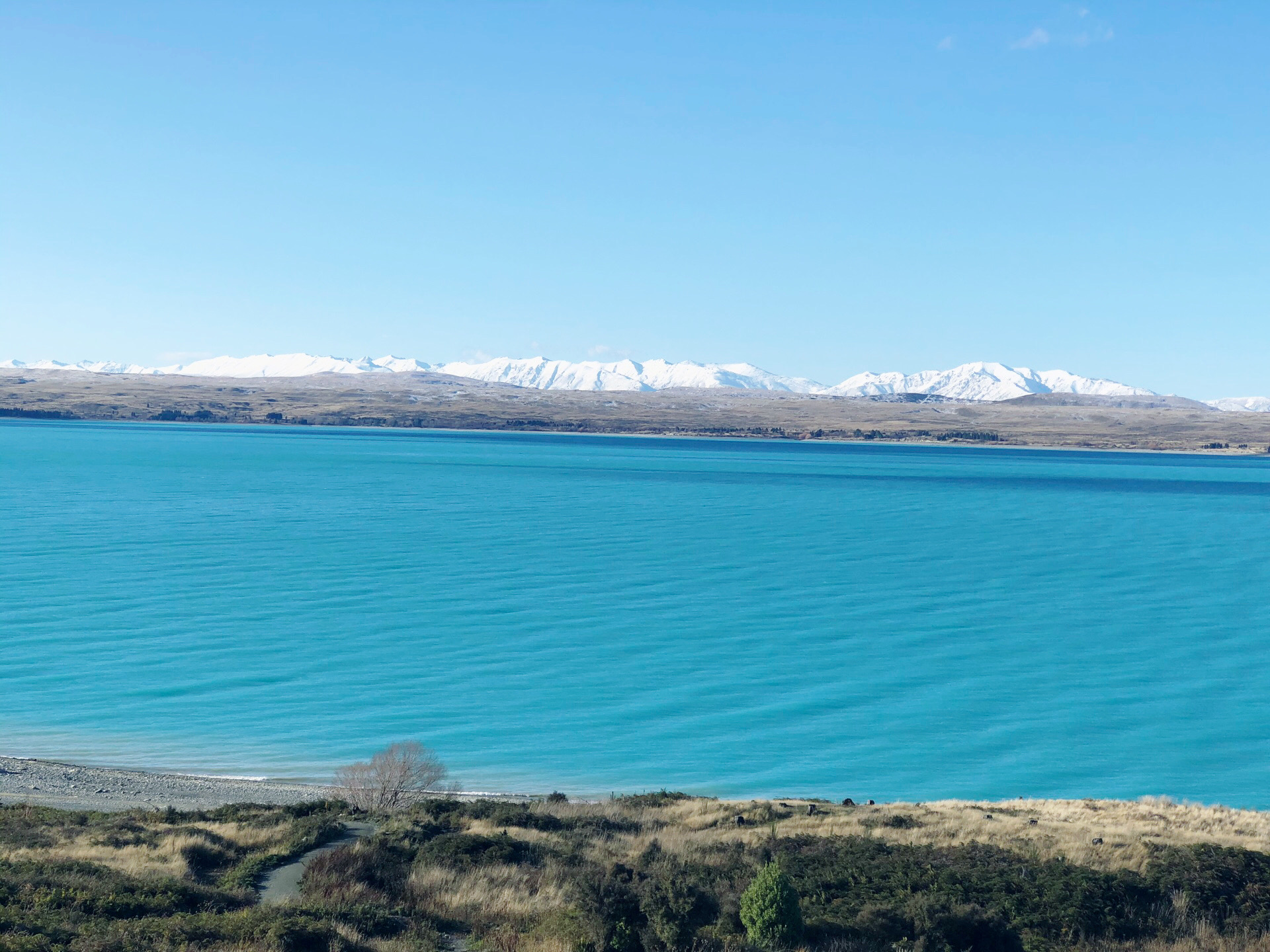 奶蓝色的冰川湖.新西兰.2020