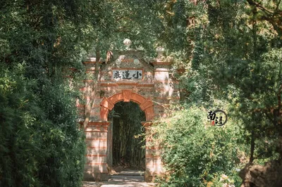 小莲庄