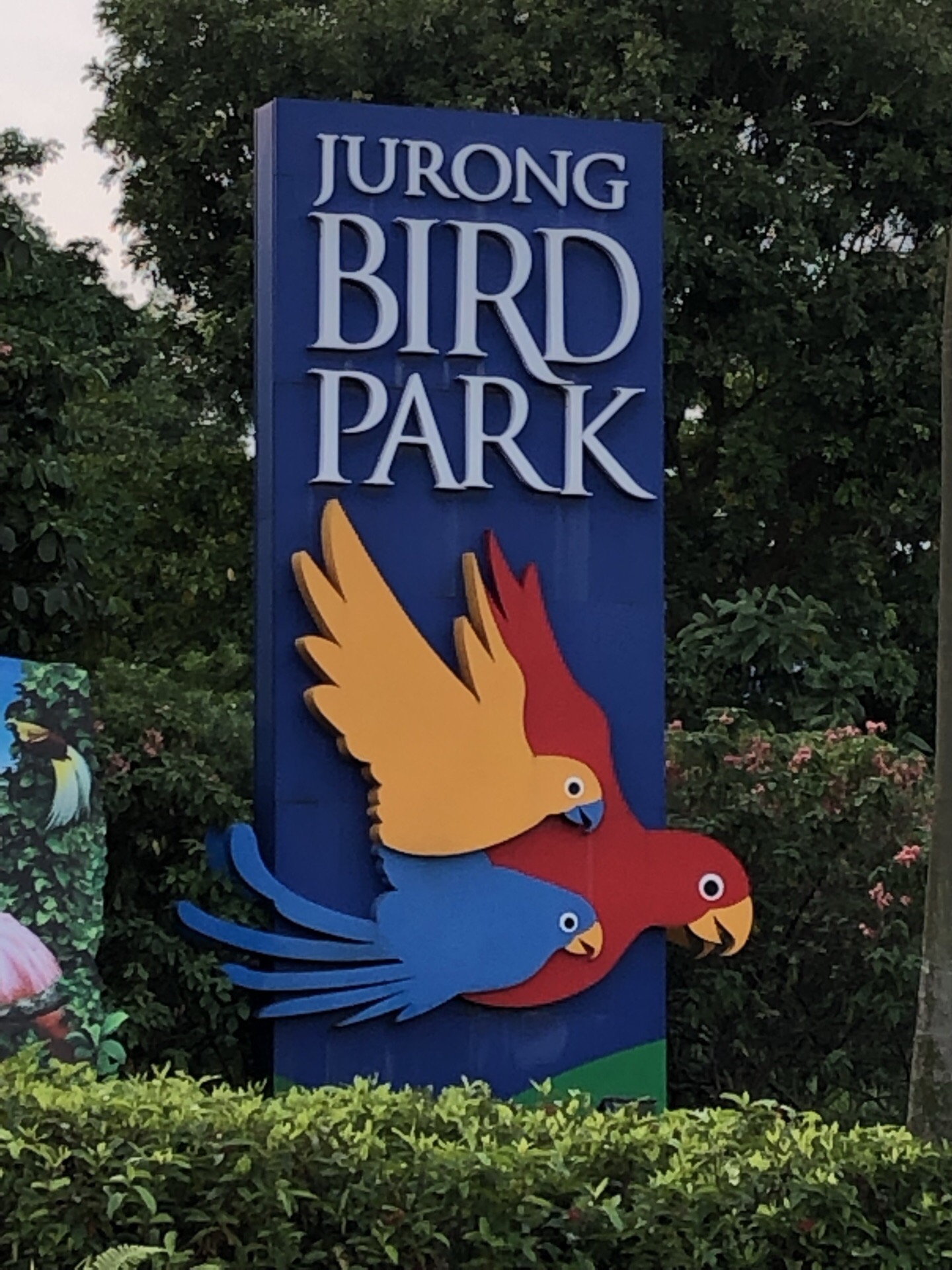 飞禽公园位于新加坡西边的郊区，虽然有点儿远，但是地铁绿线坐到文礼(Boon Lay)站下车再坐巴士1