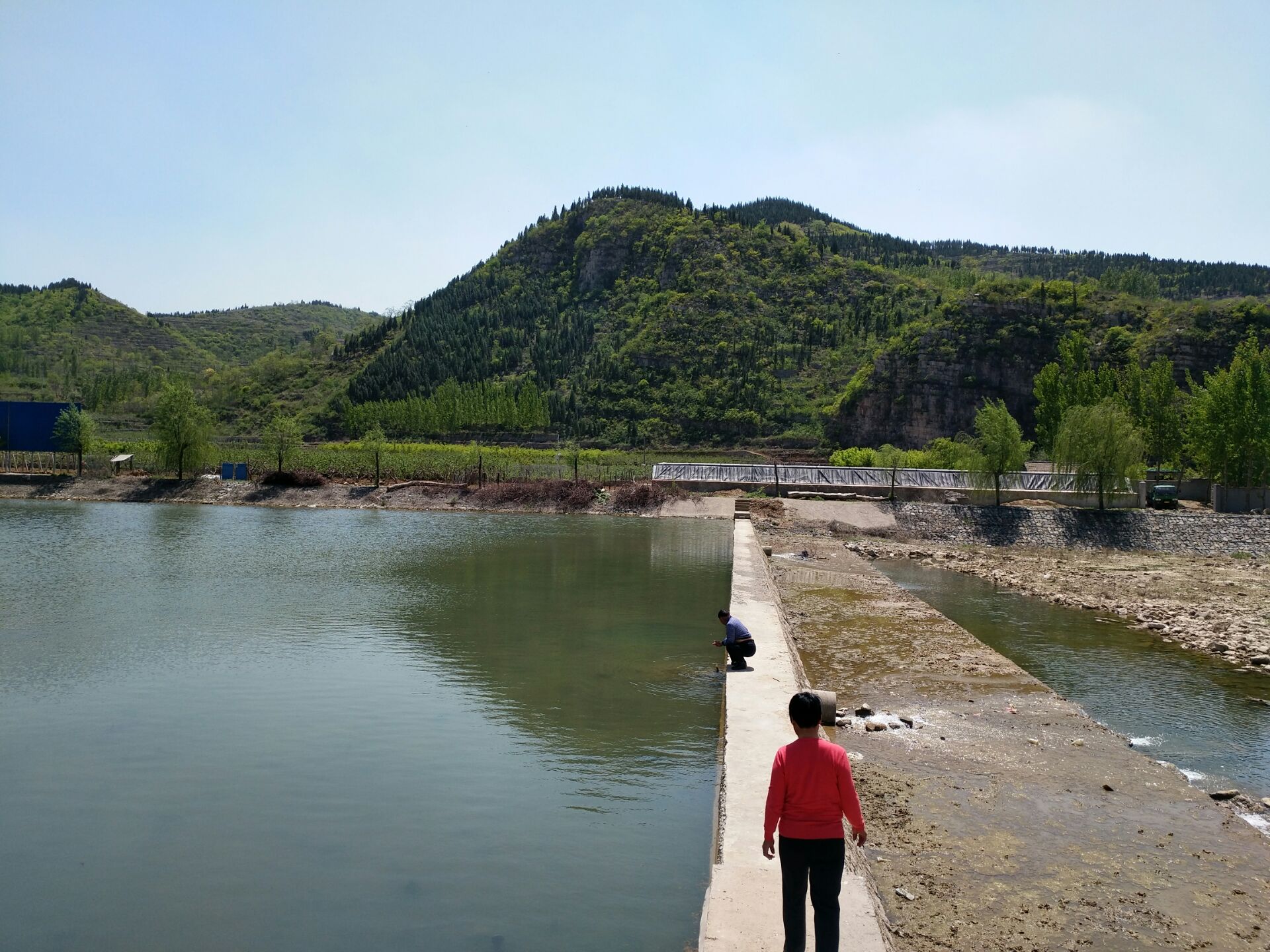 山青水秀