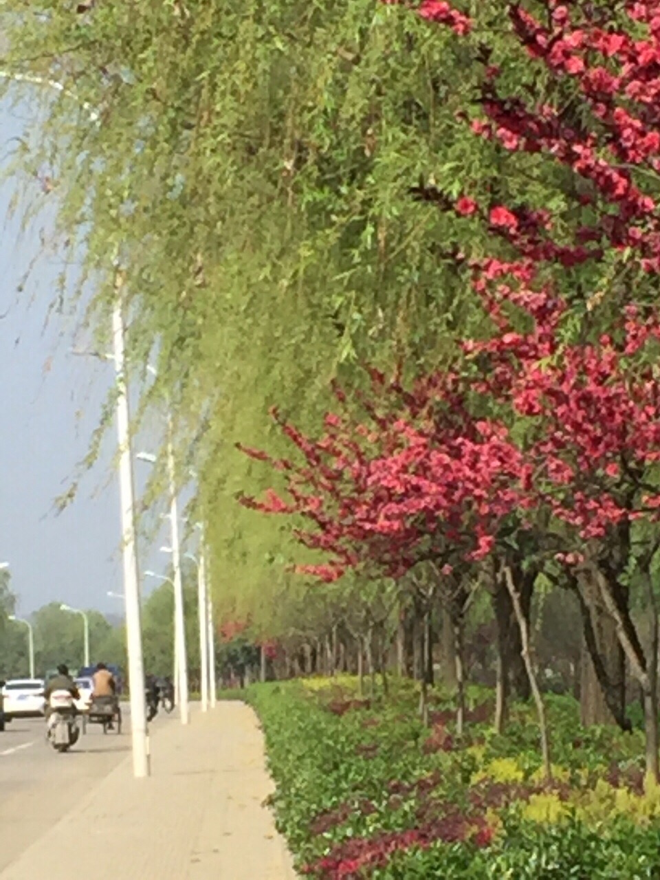 河南省信阳市八一路商业步行街