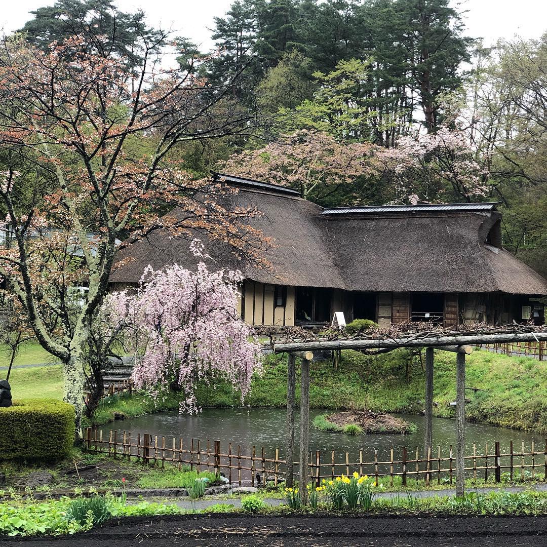 体验古老的生活 来日本受朋友邀请，去みちのく民俗村游玩。说是村庄，实际上这里也是一个天然的博物馆。朋
