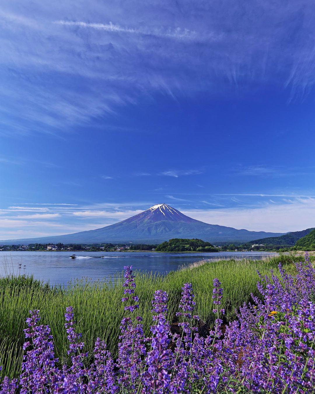 薰衣草的海洋——日本•大石公园  【被安利的心情】  本人是个喜欢拍照的小可爱一枚，因为放假了想找个