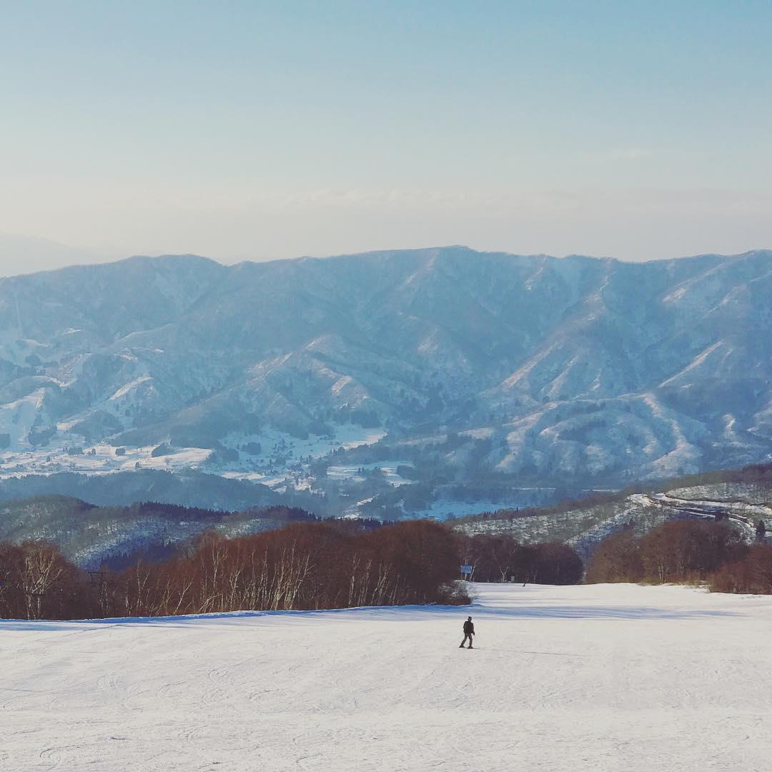 野澤溫泉滑雪場旅遊攻略指南 野澤溫泉滑雪場評價 野澤溫泉滑雪場附近推薦 Trip Com