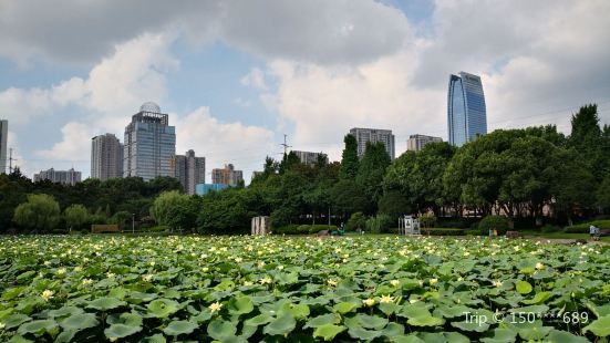 City Park