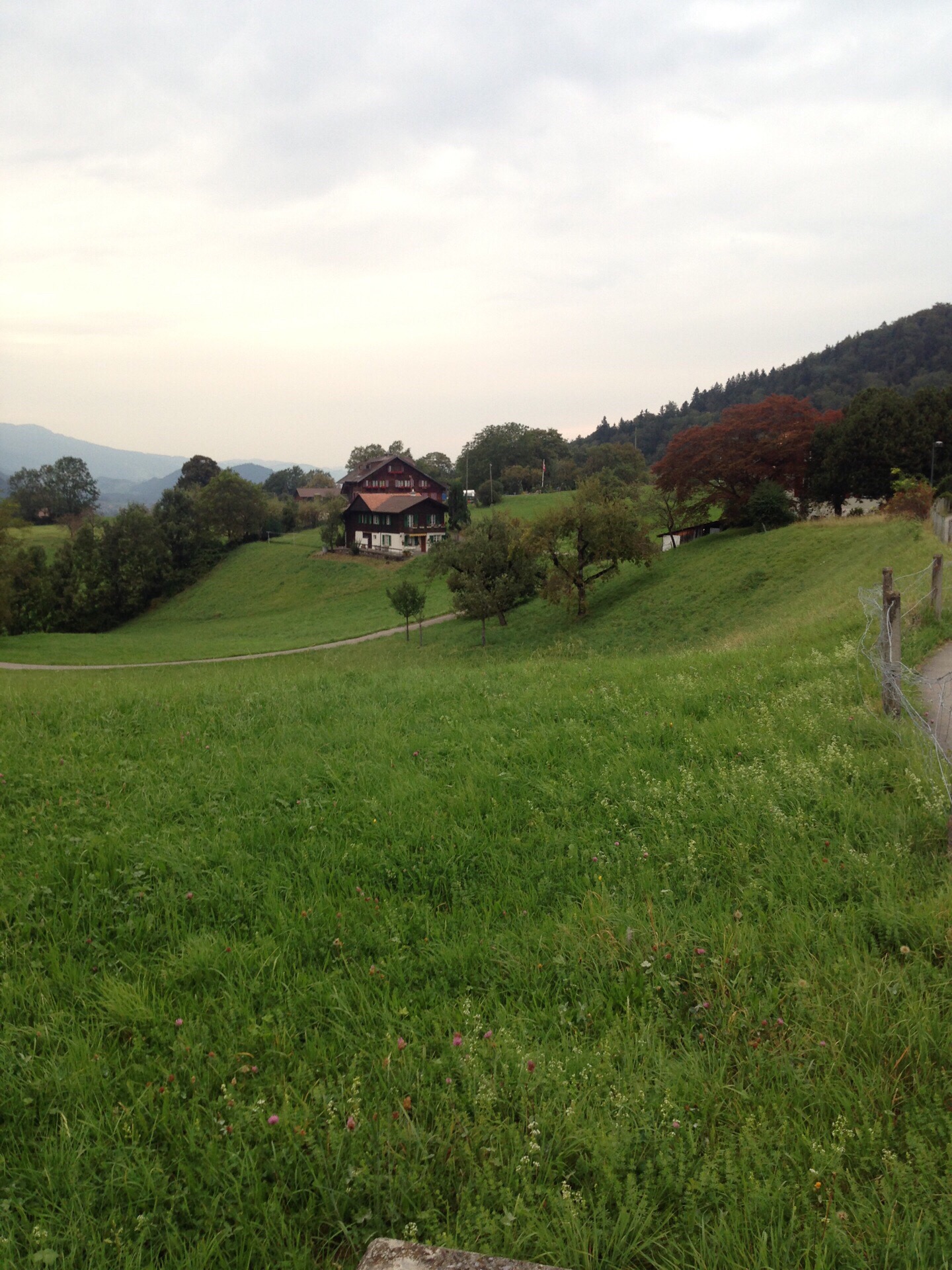 就住在这样子的瑞士乡村！