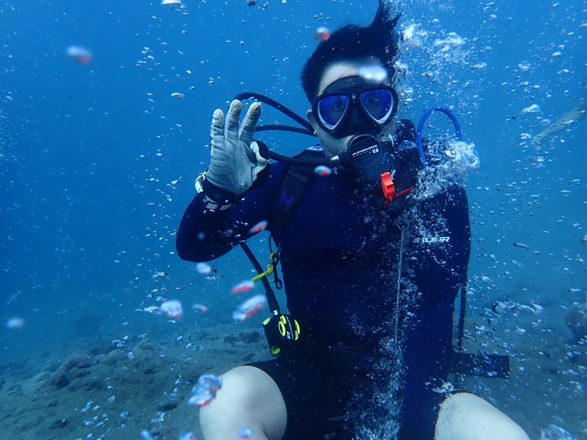 小众的潜水胜地-韦岛，海底温泉也是一个特别之处。水深只有5～10米，适合最后一潜。潜导会找来海胆，去