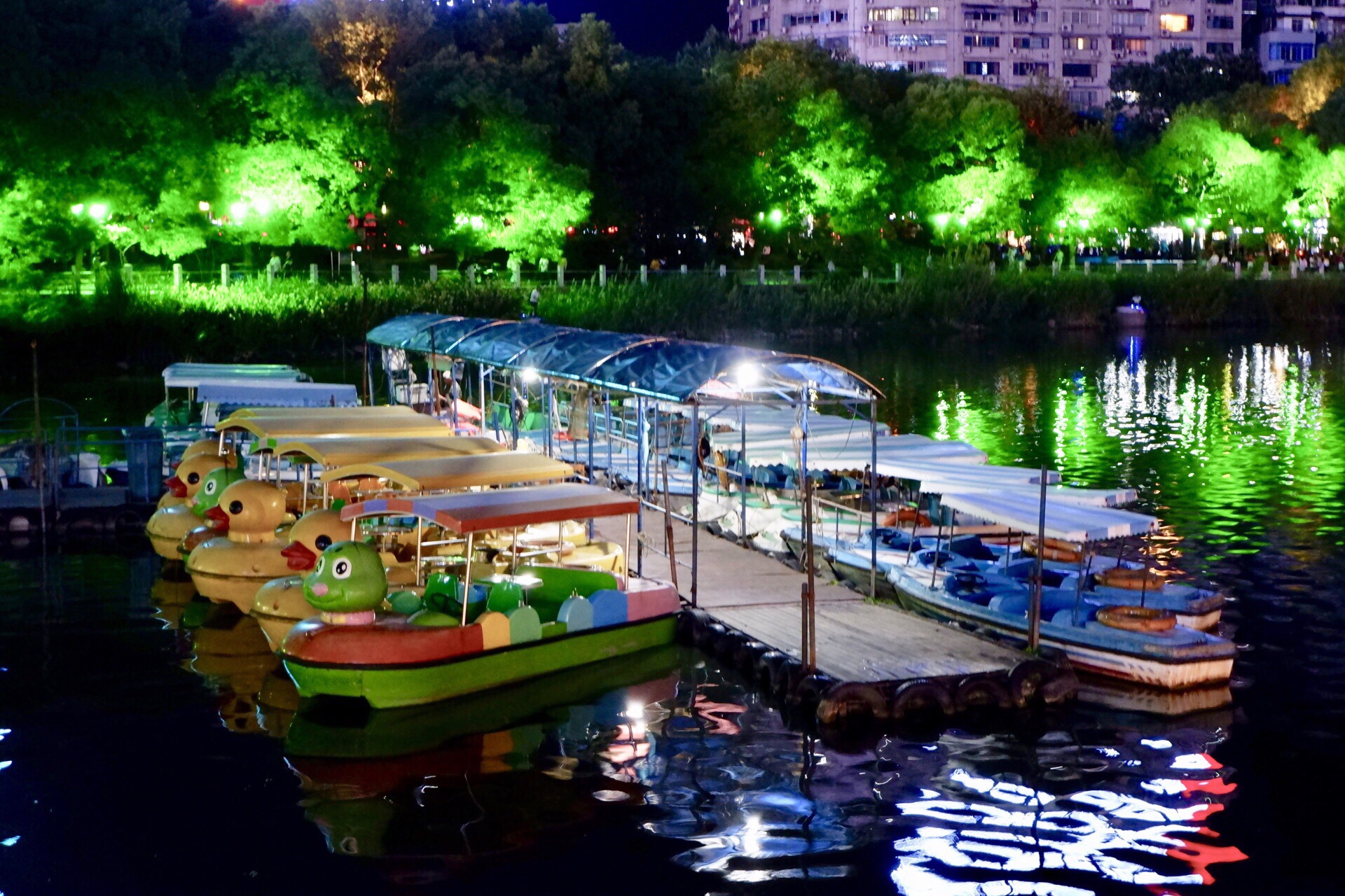 赏甘棠湖美景•看九江山水人情  其实甘棠湖算是九江非常大的市区内胡泊了，而且沿河的公园也很多，甚至貌
