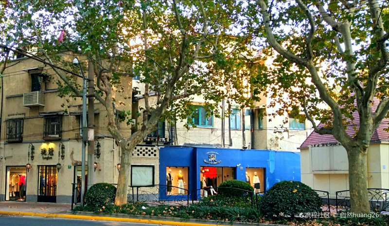 梧桐掩映衡山路――这条当年法租界上的贝当路，两旁一律的伫立着法国