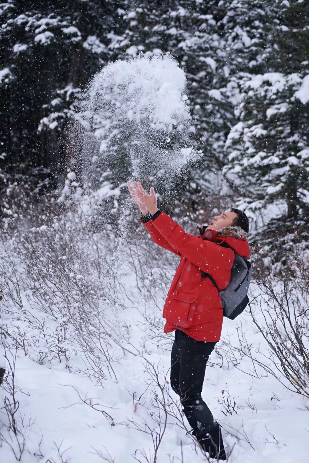 【快来玩雪】冬天最有意思的，就是玩雪。但直到来了加拿大艾伯塔省，我才明白：什么叫玩雪。艾伯塔的冬天到
