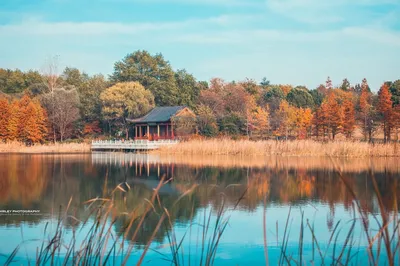 钟山风景名胜区-燕雀湖