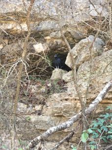 Barton Creek Greenbelt-奥斯汀-billyxie伟