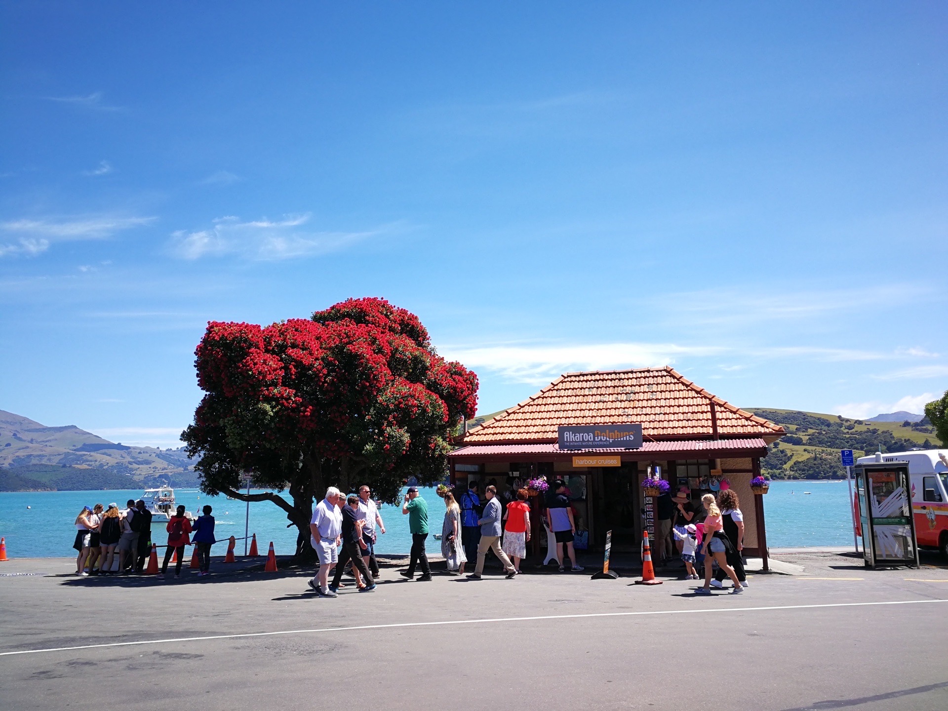 新西兰南岛的法国风情小镇阿卡罗阿(Akaroa)是去新西兰旅游的必去之地。拥有浓浓的法国风情、美丽的