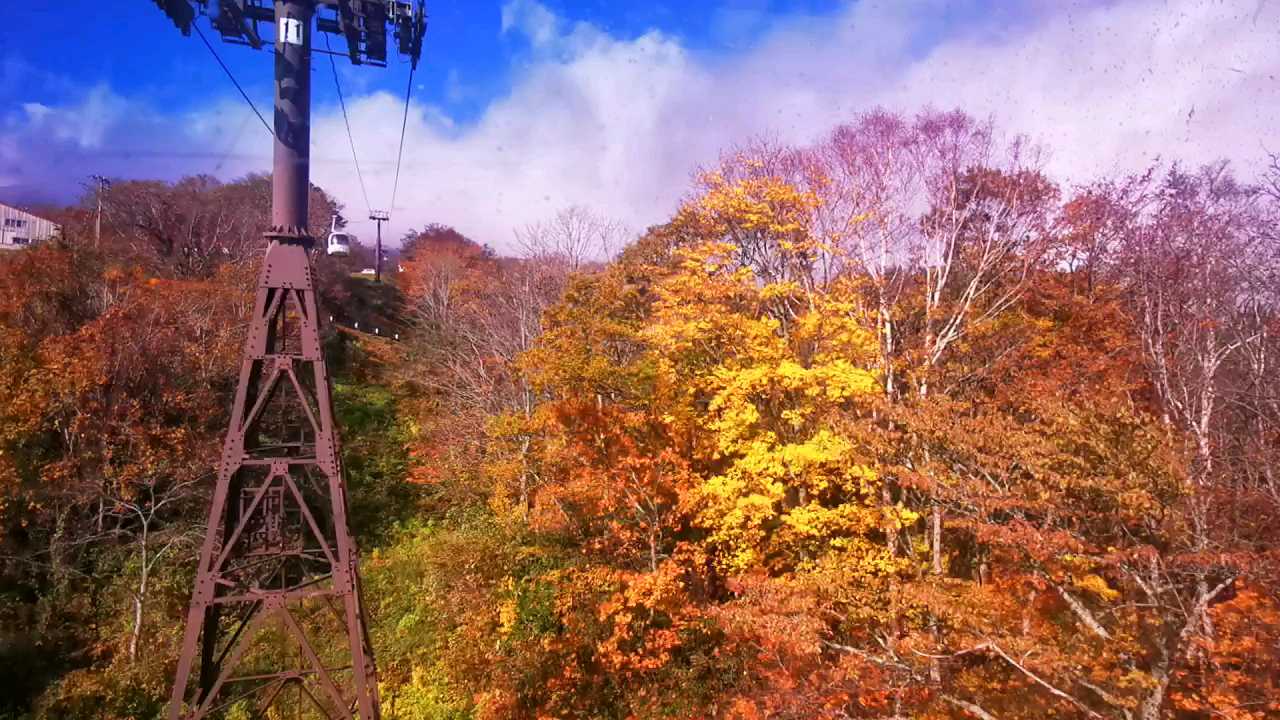 深秋，十一月初， 新潟县·日本  ， 妙高高原  ，我们乘 ” 妙高高原缆车  ”，看最美，枫叶林！