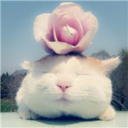 微笑同是天涯沦落人