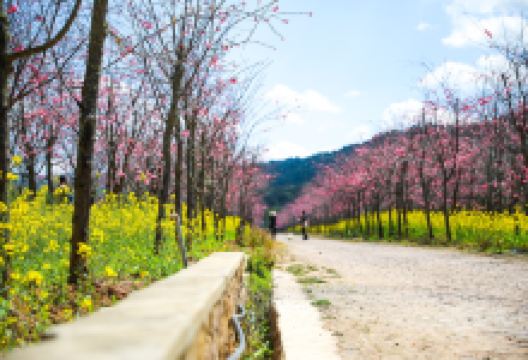 磨盘山国家森林公园景点图片