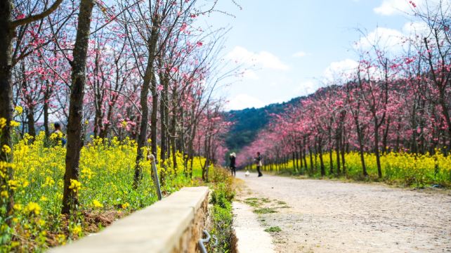 磨盘山国家森林公园