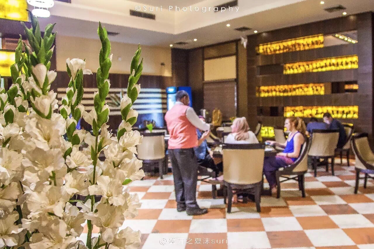 【印度餐厅推荐榜】洒红节热门城市马图拉酒店餐厅推荐  Hotel Abhinandan  人均：Rs