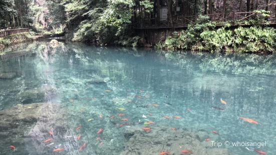 The Jingming Valley Scenic Area of Yandang Mountains