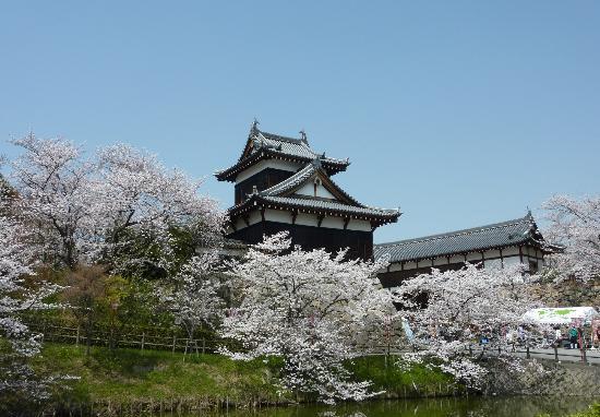 奈良盆地西北部的城下町  以樱花胜地闻名的郡山城，最让人目不接暇的是遍布着樱花的大道了，一簇簇美丽的