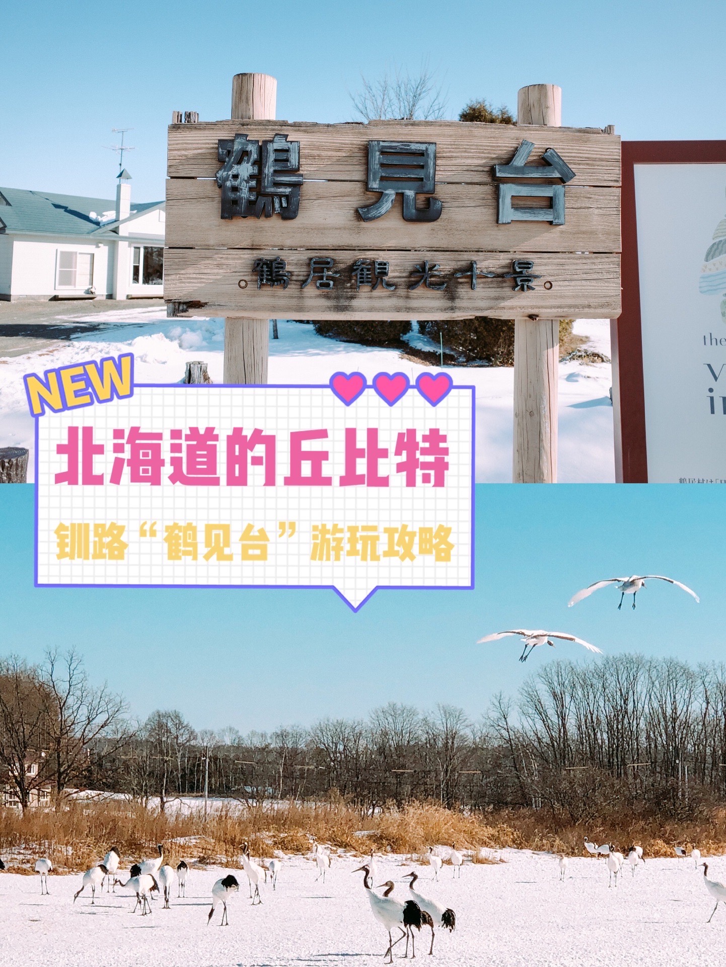 北海道的丘比特❤️钏路“鹤见台”  北海道钏路的“鹤见台”，顾名思义，就是丹顶鹤养殖地。  北海道的