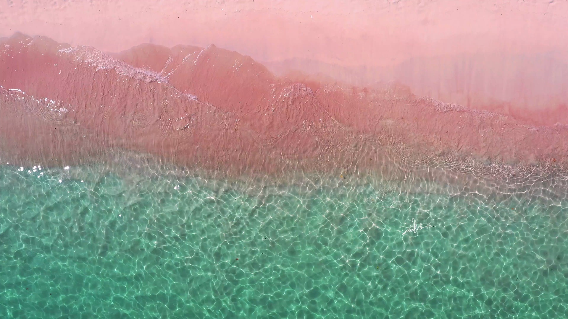 「印尼」一起跨过大洋去粉红沙滩吧—科莫多群岛      在前文中给大家推荐了墨西哥的粉红湖，今天推荐