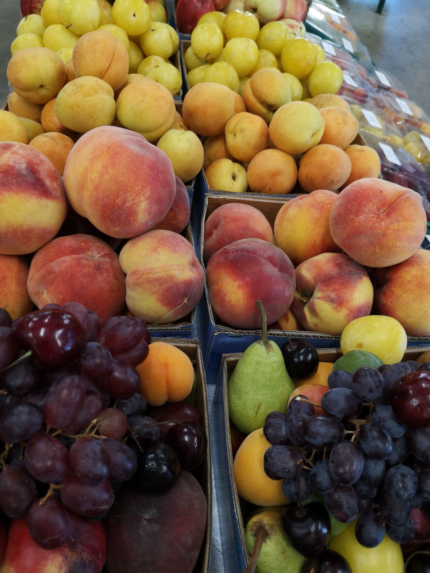 克伦威尔的水果小镇，败了一堆水果继续赶路，平时不太吃水果的儿子都大呼好吃。四个油桃，四个桃子，一盒葡
