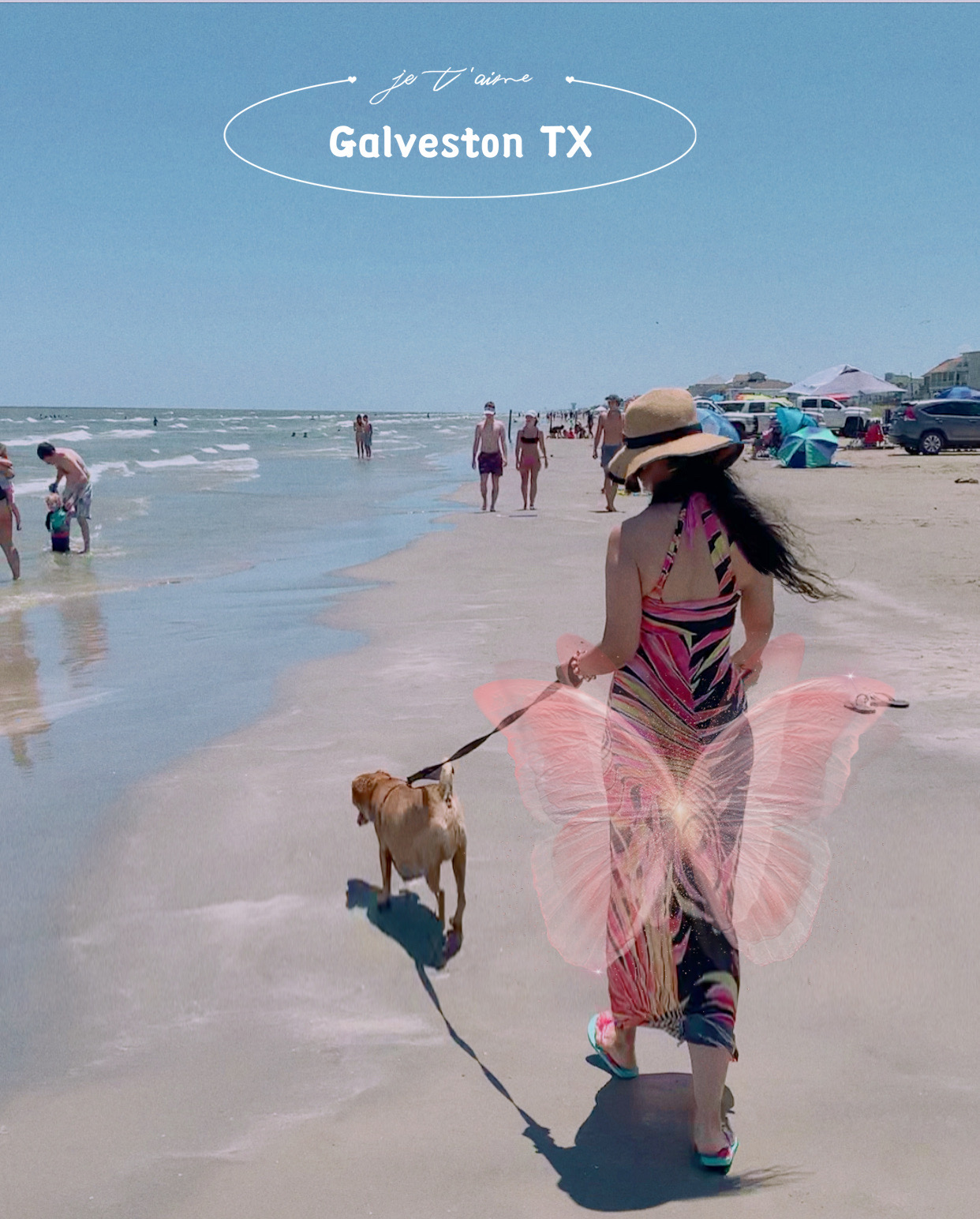 德克萨斯州-加尔维斯顿   加尔维斯顿是一个顶级的海滩旅游地