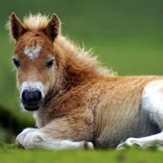 巴黎最后的时光