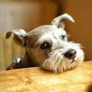 叫我李木子姐姐