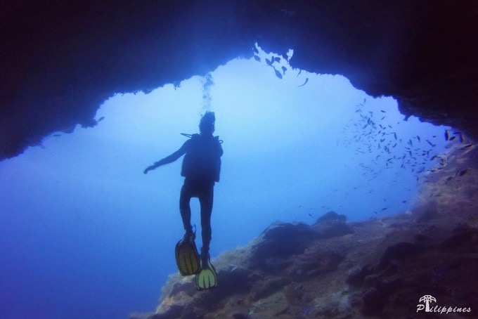 既然说菲律宾是考潜水证的胜地，当然少不了提APO岛，APO岛，被誉为世界十大潜水圣地之一。   海底