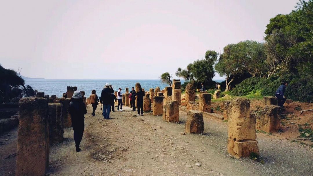 世界文化遗产～提帕萨坐落于地中海沿岸，是古代迦太基的贸易驿站，后被罗马占领并作为征服毛里塔尼亚王国的