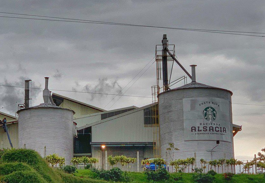 打卡哥国的星巴克咖啡农场  Alsacia咖啡农场是星巴克在2013年购入的，并于2018年宣布面向