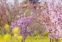 郑州市碧沙岗公园景点图片